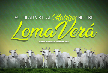 9º LEILÃO VIRTUAL MATRIZES NELORE LOMA VERÁ